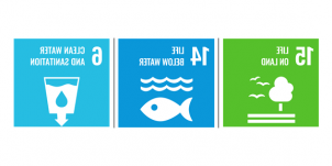 SDG icons 6, 14 and 15